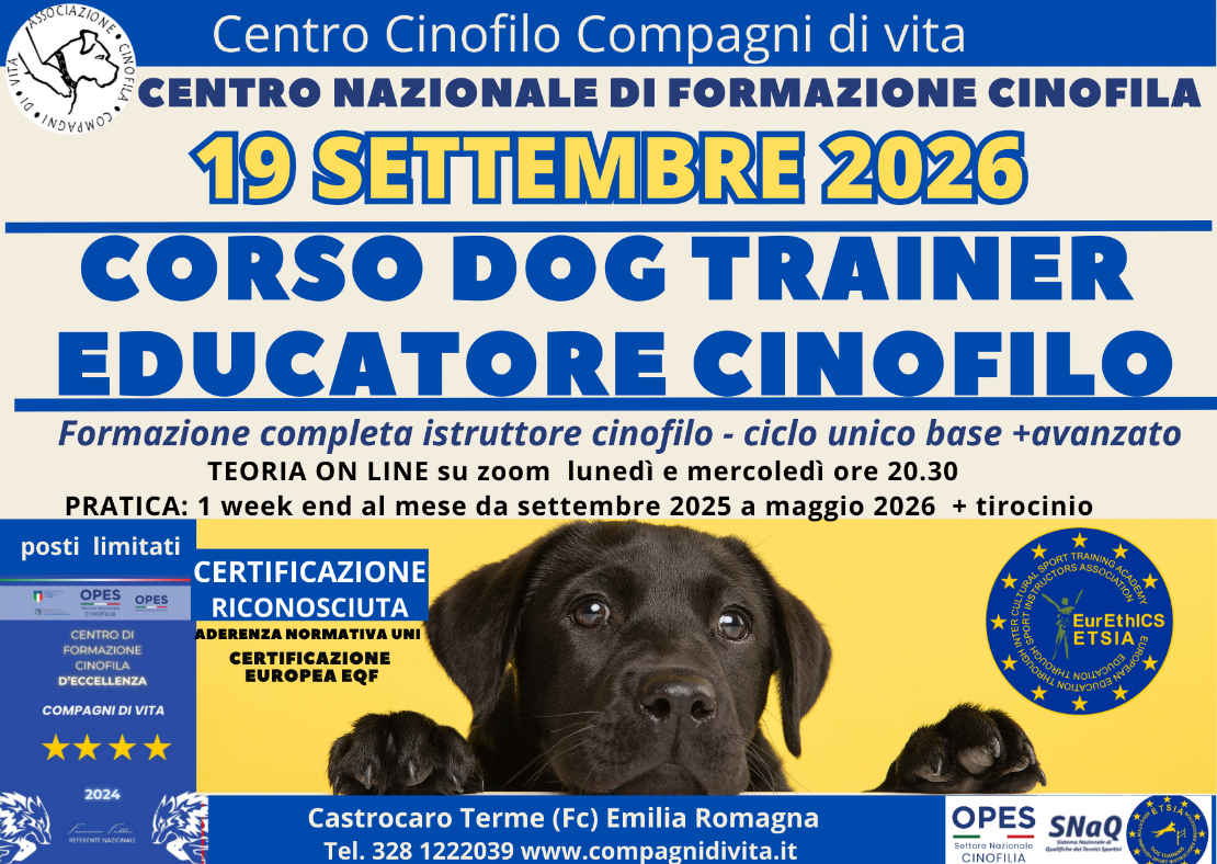 corso istruttore cinfilo