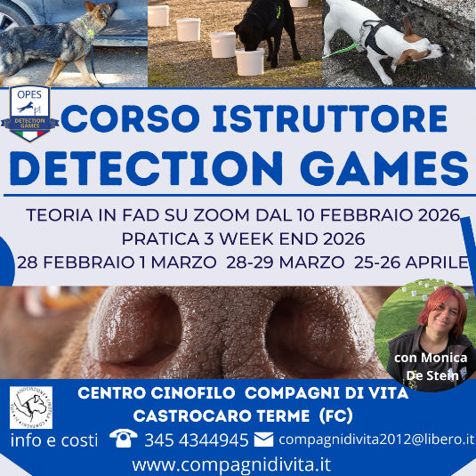 CORSO ISTRUTTORE TECNICO detection games - nosework