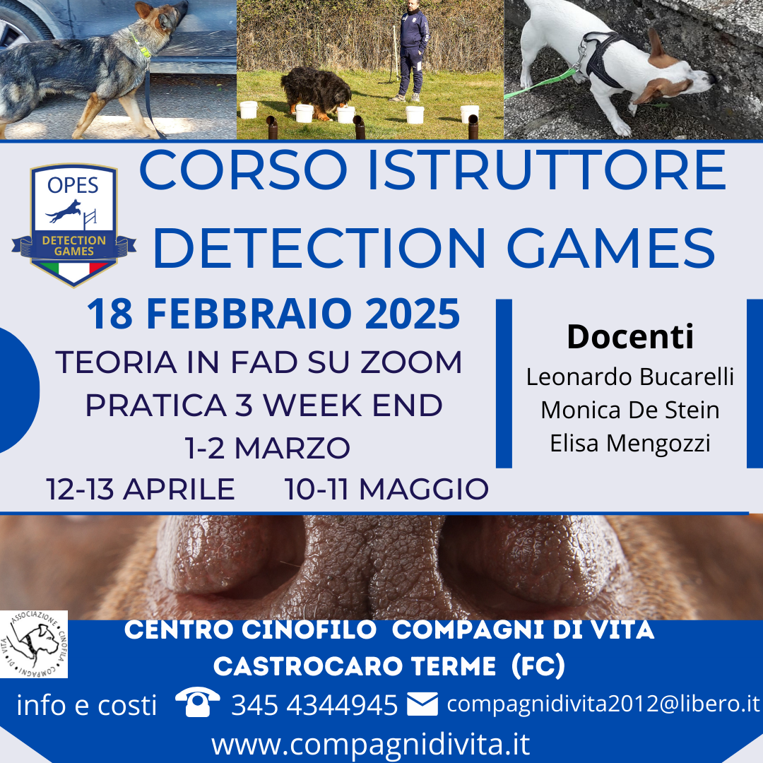 CORSO ISTRUTTORE TECNICO detection games - nosework